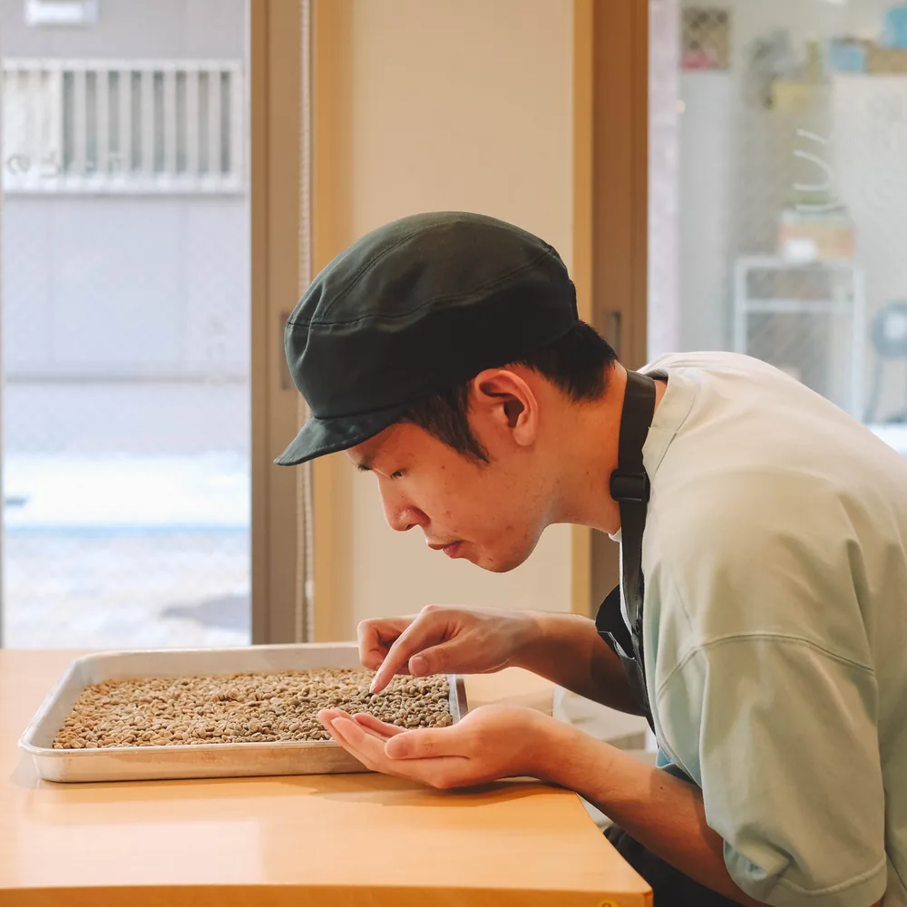トレイに広げた生豆を選り分けるスタッフ